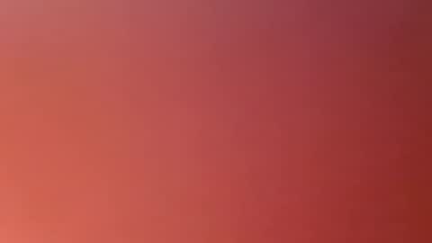 monrod2517 online show from February 2025 02:35:01 AM