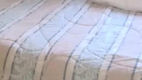 montydxxx2 online show from February 2026 11:22:01 PM