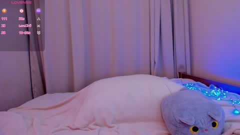 LANA online show from December 2025 11:38:02 AM