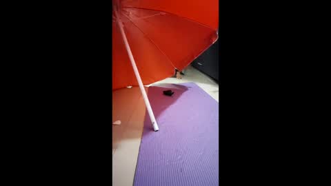 Snapshot of morbucksrica chatting on February 2026 03:25:01 AM morbucksrica online show from February 2026 03:25:01 AM