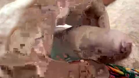 Me online show from January 2026 07:11:02 AM