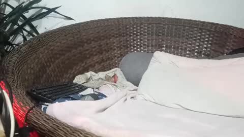 John john online show from February 2025 04:31:01 AM