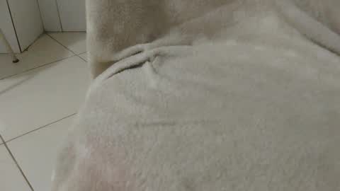 morenokaxu online show from January 2025 12:48:01 AM