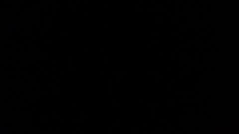 Snapshot of mospeleu chatting on March 2025 05:49:01 PM Nomadu online show from March 2025 05:49:01 PM