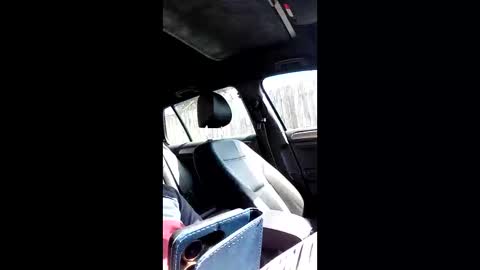 Nomadu online show from March 2026 10:42:02 AM