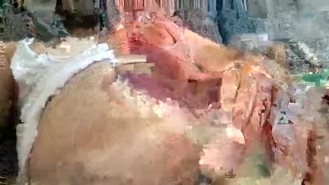 Arab boy online show from November 2025 12:05:02 PM