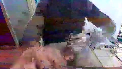 Snapshot of mppempis81 chatting on November 2025 07:27:01 AM mppempis81 online show from November 2025 07:27:01 AM