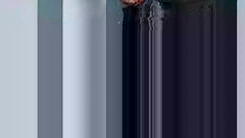 Snapshot of mr_i_ chatting on March 2025 08:37:02 AM mr_i_ online show from March 2025 08:37:02 AM