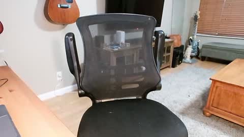 Rabbit online show from December 2024 03:37:01 PM