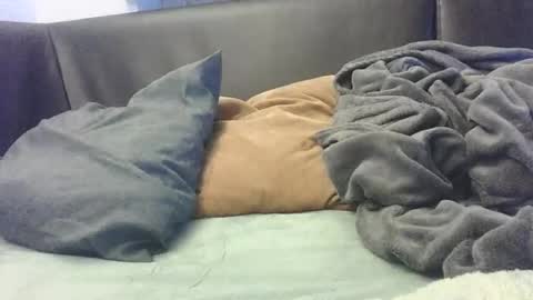 Snapshot of mranal93 chatting on October 2025 07:00:01 PM mranal93 online show from October 2025 07:00:01 PM