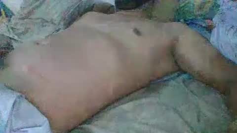 Gato online show from December 2024 08:23:02 PM