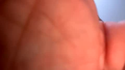 Snapshot of mrfrankfuckforfree chatting on January 2025 05:26:02 AM mrfrankfuckforfree online show from January 2025 05:26:02 AM