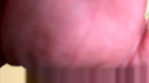 mrfrankfuckforfree online show from March 2026 04:24:01 PM