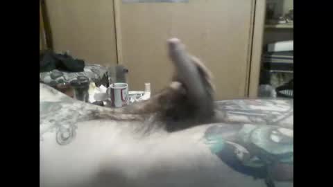 Snapshot of mrfumao chatting on June 2026 06:14:02 AM mrfumao online show from June 2026 06:14:02 AM