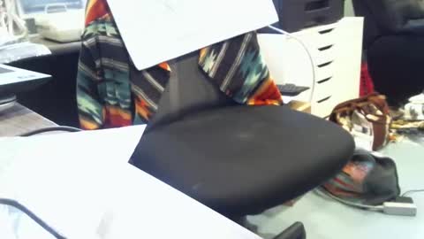 Snapshot of mroldred chatting on February 2026 10:07:01 PM mroldred online show from February 2026 10:07:01 PM