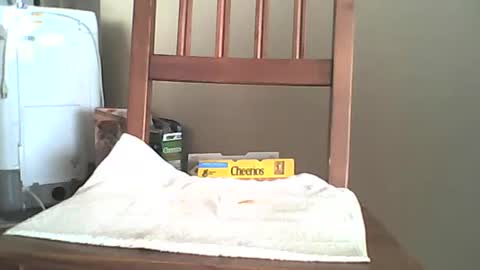 Snapshot of mrroarke chatting on October 2025 11:35:01 PM Longshot online show from October 2025 11:35:01 PM