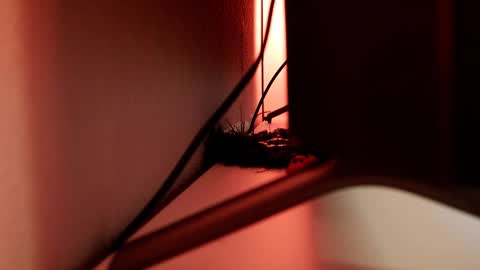 YOUR OWNER online show from March 2025 06:11:01 PM