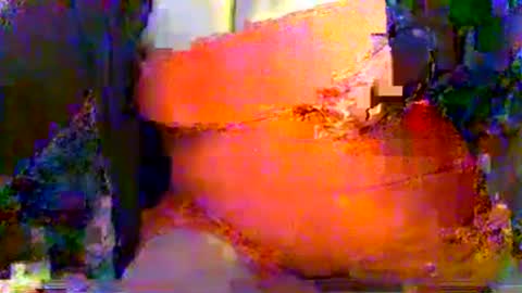 Mrs Venus online show from July 2026 10:51:02 PM