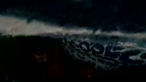 mrvnaked online show from December 2024 12:50:02 AM