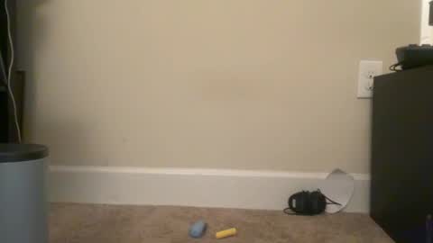 msduss351 online show from January 2025 11:56:01 AM