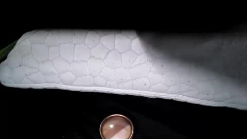 Snapshot of msmomy69 chatting on November 2025 02:43:02 PM msmomy69 online show from November 2025 02:43:02 PM