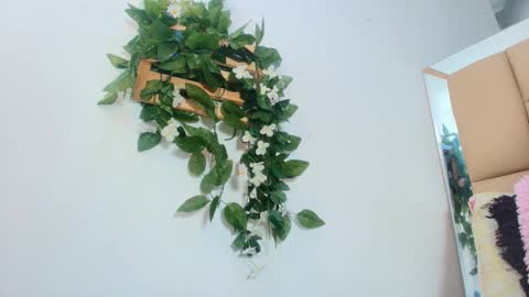 MARIA ANTONELLA 3 online show from January 2026 03:11:02 AM