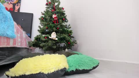 Snapshot of msschloee chatting on December 2024 08:07:02 PM Chloe new account online show from December 2024 08:07:02 PM