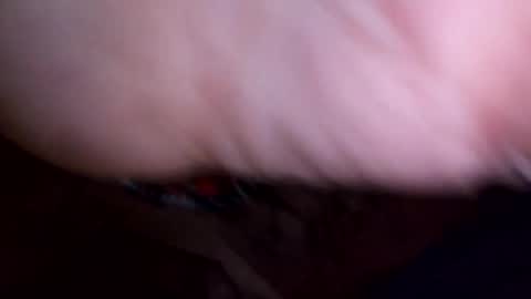 mtnclimber1 online show from April 2026 06:09:01 AM