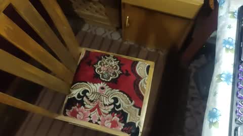 zenon online show from December 2025 10:06:01 PM