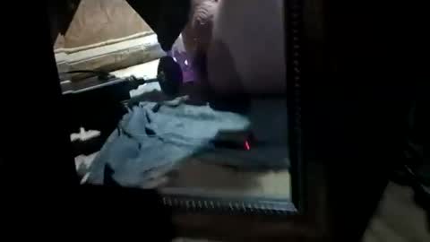 muddflapz online show from November 2025 08:47:01 AM