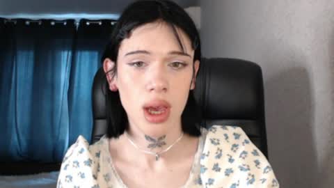 Polik online show from April 2026 01:53:01 PM