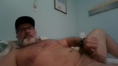 Snapshot of musclemeat41 chatting on January 2025 05:37:01 PM musclemeat41 online show from January 2025 05:37:01 PM