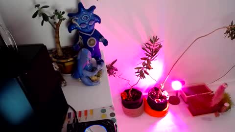 Snapshot of muse_online chatting on December 2024 02:14:02 PM Muse Ali online show from December 2024 02:14:02 PM