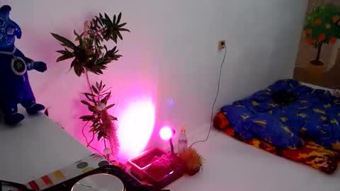 Snapshot of muse_online chatting on December 2024 05:18:02 PM Muse Ali online show from December 2024 05:18:02 PM