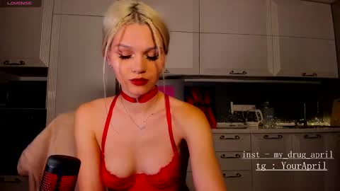 Snapshot of my_april chatting on January 2025 12:43:01 AM April online show from January 2025 12:43:01 AM