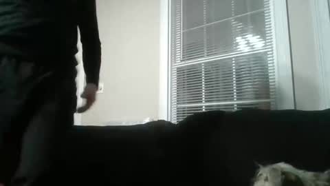 my_banana_creampies online show from February 2026 07:51:01 AM