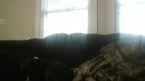 my_banana_creampies online show from February 2026 01:51:01 PM