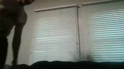 Snapshot of my_little_vienna_sausage chatting on November 2025 10:26:01 PM vienna online show from November 2025 10:26:01 PM