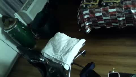 LA MARIPOSA DE MARICOPA online show from November 2025 07:50:01 AM