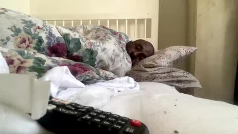 Snapshot of mycockissohard2021 chatting on February 2025 02:54:02 PM mycockissohard2021 online show from February 2025 02:54:02 PM