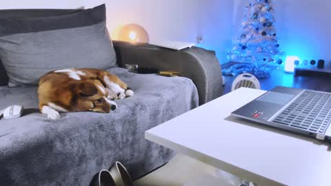 Snapshot of mylegsonheels chatting on December 2024 10:48:01 PM Anda online show from December 2024 10:48:01 PM