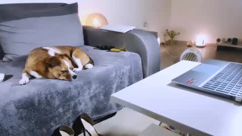 Snapshot of mylegsonheels chatting on February 2025 10:58:01 PM Anda online show from February 2025 10:58:01 PM