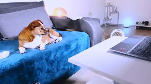 Snapshot of mylegsonheels chatting on March 2025 01:20:02 AM Anda online show from March 2025 01:20:02 AM