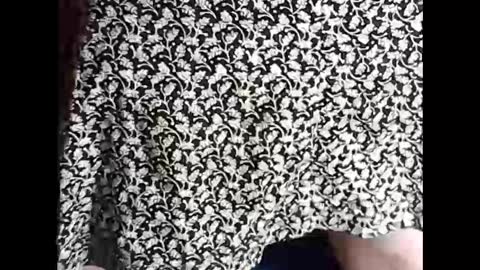 Snapshot of myself765 chatting on February 2025 07:09:01 PM Sissy Mike online show from February 2025 07:09:01 PM