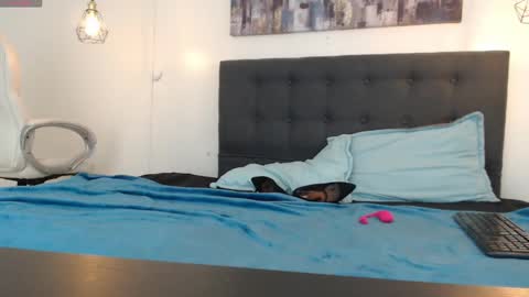 Snapshot of mysterious_girl42 chatting on January 2025 01:26:01 PM No Name online show from January 2025 01:26:01 PM