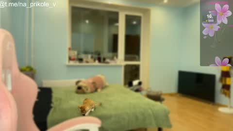 Snapshot of na_prikole_ chatting on October 2025 05:20:02 PM Vanessa and Julia online show from October 2025 05:20:02 PM