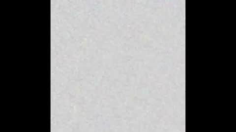 Naia online show from January 2026 04:45:01 PM