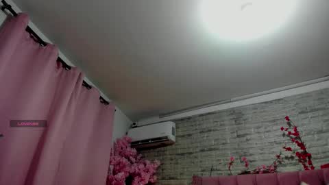 Snapshot of naiawhisper chatting on February 2026 11:53:02 AM naiawhisper online show from February 2026 11:53:02 AM