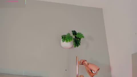 INSTAGRAM  m2221     online show from February 2026 10:52:01 AM