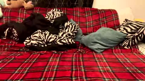 Snapshot of naked_for_fun chatting on December 2024 05:31:01 PM unable nkd life online show from December 2024 05:31:01 PM